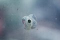 Firearms bullethole on the glass from the bullets, cracks background Royalty Free Stock Photo