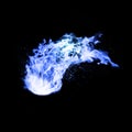 Fireball blue realistic fire Royalty Free Stock Photo