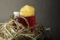 Fireball whisky cocktail wrapped in a nest. Royalty Free Stock Photo