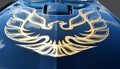 Firebird on car hood