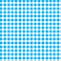 Firebrick gingham pattern. textured blue and white plaid background. tablecloth background blue seamless pattern. the pattern for