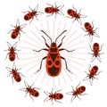 Firebug. Vector illustration. Isolated on a white