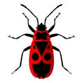 Firebug. Vector illustration. Isolated on a white