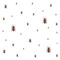firebugs insect background. Vector Illustration for printing, backgrounds, covers and packaging. Image can be used for