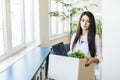 Fired female employee holding box of belongings in an office Royalty Free Stock Photo