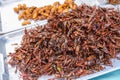 Fired locusts and worms on food market, Bangkok