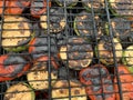 Fired vegetable grill Royalty Free Stock Photo