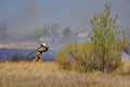 Firefighter extinguishes burning, dry grass from fire hose Royalty Free Stock Photo