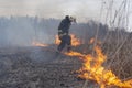 A firefighter extinguishes dry grass. A firefighter is fighting a fire in an open area