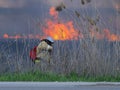 Firefighter extinguishes fire in the field