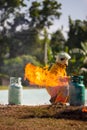 Firefighter with fire and suit for protect fire fighter for training firefighters Royalty Free Stock Photo