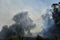 Firefighter helicopter amid forest fire smoke Royalty Free Stock Photo