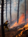 Firefighter holding the hosepipe standing on the sloping ground. Fireman putting out wildfire in the forest. Generative AI