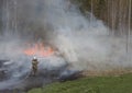 Firefighter puts out the fire in the woods. Smoke, flame