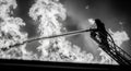 Firefighter spraying water from ladder truck during drill or training exercise Royalty Free Stock Photo