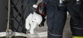 A firefighter stands on the stairs holding a teddy bear toy in his hand