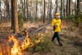 Firefighter using a controlled fire in the forest