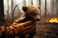 A firefighter or volunteer in a protective suit holds in his arms a bear cub