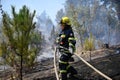 Firefighter volunteer woman dragging a hose in the middle of the burned forest