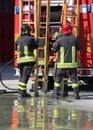 Firefighters in action take the wooden ladder Royalty Free Stock Photo