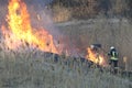 Firefighters battle a wildfire in spring.