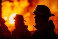 Firefighters battling a forest fire