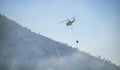 Firefighters battling a wildfire burning a forest of trees on a mountain.