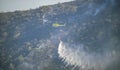 Firefighters battling a wildfire burning a forest of trees on a mountain.