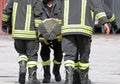 Firefighters carrying an injured man on a stretcher Royalty Free Stock Photo
