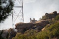Firefighters climb rocks and use a hose on a brush fire in Chatsworth, California