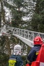 Firefighters cutting branches of a tree