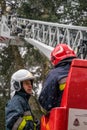 Firefighters cutting branches of a tree