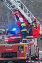 Firefighters cutting branches of a tree