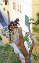Firefighters cutting a fallen tree against the facade of a building in Barcelona