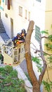 Firefighters cutting a fallen tree against the facade of a building in Barcelona