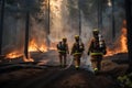 Firefighters extinguish a forest fire. Brave people doing dangerous work