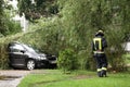 Firefighters help clean up the effects of a fallen tree on cars after the storm in a rainy day.