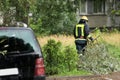 Firefighters help clean up the effects of a fallen tree on cars after the storm in a rainy day.