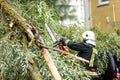 Firefighters help clean up the effects of a fallen tree on cars after the storm in a rainy day.