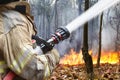 Firefighters helped battle a wildfire Royalty Free Stock Photo