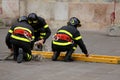 Firefighters with ladder to reach the upper floors of the build