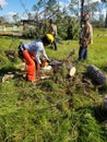 Firefighters remove hurricane debris