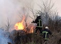 Firefighters spray water to wildfire. firefighter extinguishes a