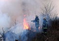 Firefighters spray water to wildfire. firefighter extinguishes a