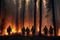 Firefighters team in burning forest Royalty Free Stock Photo