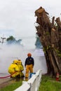 Firefighters train near the stump.