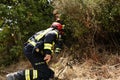 Firefighters on work on forest fireblaze Royalty Free Stock Photo