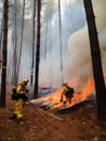 Firefighters working with environmental disaster. Nature disaster of forest fire. Generative AI