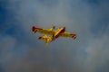 ROMA, ITALY - JULY 2017: A firefighting aircraft in an emergency situation, during a natural disaster, gathers water in the Tyrrhe