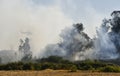 .Firefighting helicopter flies through the smoke. Royalty Free Stock Photo